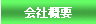 ЊTv
